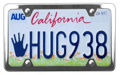picture of a license plate with a hand  HUG938