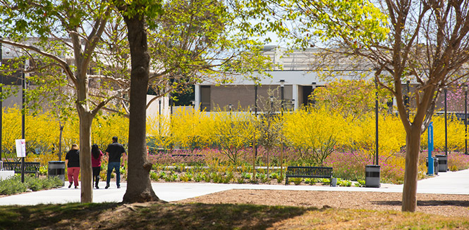 Image of students walking on campus